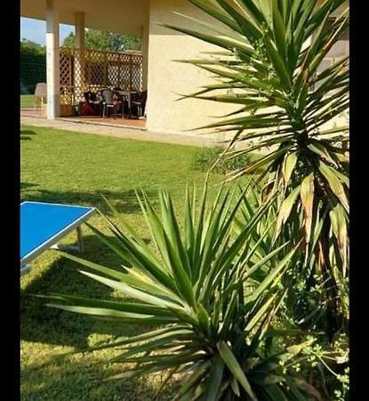 Green Garden Viareggio Eksteriør billede