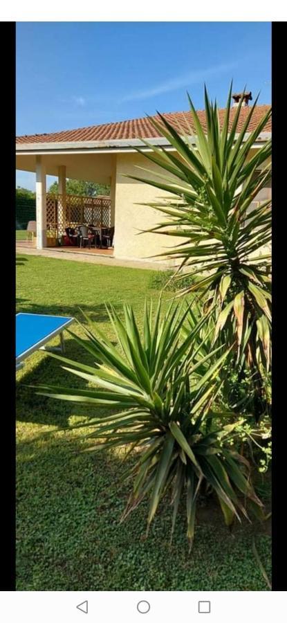 Green Garden Viareggio Eksteriør billede